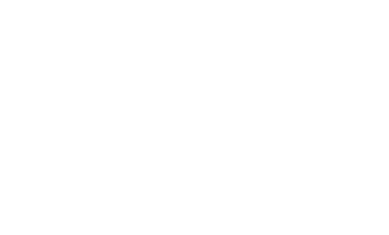 Noir Division